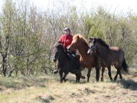 Sumarferð Sleipnis 2015