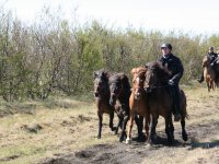 Sumarferð Sleipnis 2015