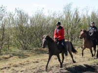 Sumarferð Sleipnis 2015