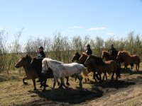 Sumarferð Sleipnis 2015