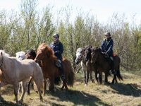 Sumarferð Sleipnis 2015