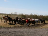 Sumarferð Sleipnis 2015