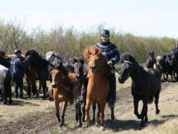 Sumarferð Sleipnis 2015