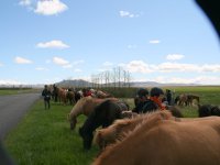 Sumarferð Sleipnis 2015