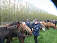 Sumarferð Sleipnis 2015