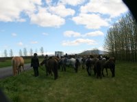 Sumarferð Sleipnis 2015