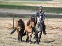 Sumarferð Sleipnis 2015