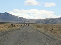 Sumarferð Sleipnis 2015