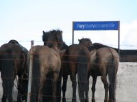 Sumarferð Sleipnis 2015