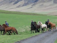 Sumarferð Sleipnis 2015