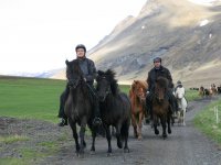 Sumarferð Sleipnis 2015