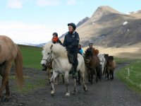 Sumarferð Sleipnis 2015