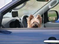 Sumarferð Sleipnis 2015