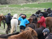 Sumarferð Sleipnis 2015