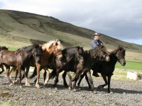Sumarferð Sleipnis 2015