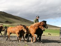 Sumarferð Sleipnis 2015