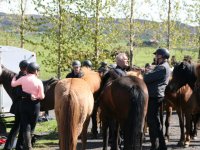 Sumarferð Sleipnis 2015