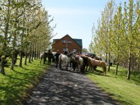 Sumarferð Sleipnis 2015