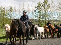 Sumarferð Sleipnis 2015