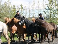 Sumarferð Sleipnis 2015