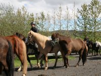 Sumarferð Sleipnis 2015