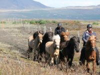 Sumarferð Sleipnis 2015