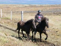 Sumarferð Sleipnis 2015