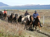 Sumarferð Sleipnis 2015