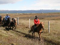 Sumarferð Sleipnis 2015