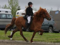 Gæðingamótið 8.júní 2013