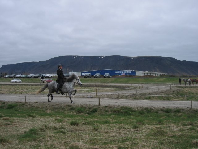 Íþróttamót 2008